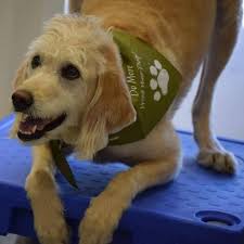 Maybe you would like to learn more about one of these? Sunrise Pet Clinic Pllc Home Facebook