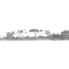 Poesia Sempre, n.38 - Ano 202023