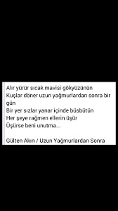 alir yurur mavisi gokyuzunun kuslar doner uzun yagmurlardan sonra bir gun gulten akin siir edebiyat yagmur