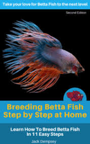 Breeding Betta Fish Step By Step At Home Cover Breeding Betta Fish Betta Betta Fish Care