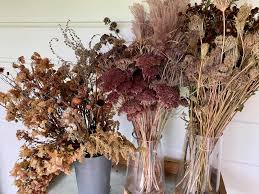 Greenlane flowers decided to give you the option to be more involved in the process of sending flowers to your loved ones. Dried Flowers The Pickery