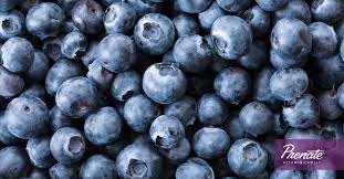 Blueberries Superfood With Benefits For Pregnancy And Beyond Prenate Vitamin Family