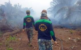 Buktinya, iklim di malaysia ialah khatulistiwa iaitu panas dan lembap. Kelompok Malaysia Bakal Gugat Ri Soal Karhutla Ada Faktor Kelapa Sawit