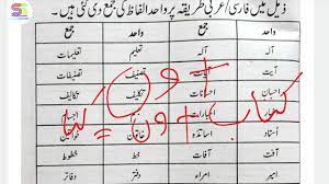 Worksheet for grade 1 urdu. Waheed Jama ÙˆØ§Ø­Ø¯ Ø¬Ù…Ø¹ Singular Plural In Urdu For Class 6 To 10 Youtube