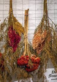 Maybe you would like to learn more about one of these? Flowers At The Central Market In Lancaster Pa Dried Flowers Central Market Lancaster