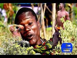 Pawachula ndoa / pawachula ndoa :. Download Pawachula Mp4 Mp3 3gp Naijagreenmovies Fzmovies Netnaija