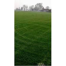 Kaliteli ve organik çimimizi 15.000 m2 alanda saf ve doğal bir fiyat teklifi almak için bizi arayın. Istanbul Bolgesine Ozel Hazir Rulo Cim Fiyatlari Usta Peyzaj