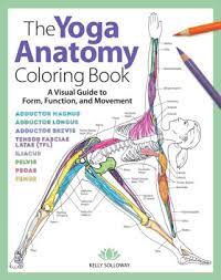 Atlas of human anatomy for the artists by stephen rogers peck 3. The Yoga Anatomy Coloring Book A Visual Guide To Form Function And Movement By Kelly Solloway Samantha Stutzman Paperback Barnes Noble