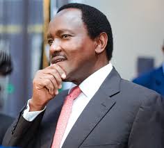 Kalonzo Musyoka Leads Official Opposition in Kenya