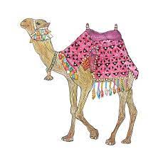 Depuis le 23 mars 2020, nous avons fermé l'application de l'express. Pin On Camel Studies
