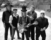The Wildflowers - Tom Petty Tribute