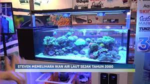 5 ganti air laut secara teratur. Inspirasi Kita Pilih Ikan Hias Air Tawar Atau Laut 13 3 Youtube