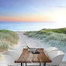 Fototapete Meer Strand Dunen 274 5 X 254cm Weg Sonnenuntergang Ostsee Nordsee Tapete 120 Inklusiv Kleister Livingdecora Outdoor Dekorationen Fototapete Tapeten