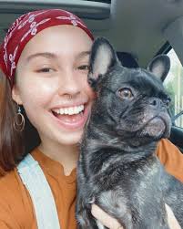 Didn't intend to get a cross breed but I did this is Cosmo a French bulldog  Cross pug he's the little brother to Bodie Otis Ray and Gilbert Grape