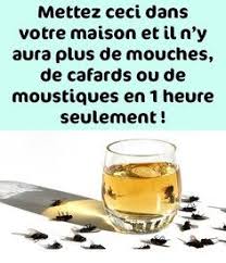 Mettez Ceci Dans Votre Maison Et Il N Y Aura Plus De Mouches De Cafards Ou De Moustiques En 1 Heure Seulement Cleaning Hacks Cleaning Deep Cleaning Tips