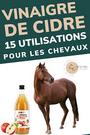 Vinaigre De Cidre 15 Utilisations Inconnues Pour Les Chevaux En 2020 Cheval Soins Des Chevaux Cidre
