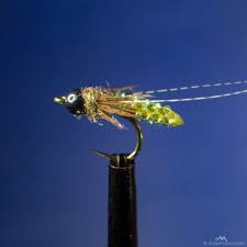 Nitro Caddis Pupa - Image source: AvidMax