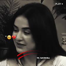 Dost Sary Bisher Gye Poetry