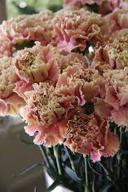 Pin On Wedding Inspiration Blooms