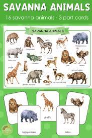 Savannah Animals Montessori 3 Part Cards Savanna Animals Animal Activities For Kids Savannah Chat