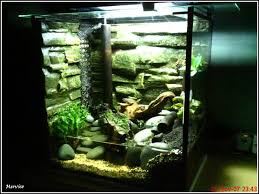 Pin On Reptile Pens