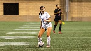 Image result for Cyphia lasiandra