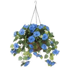 Check spelling or type a new query. Hanging Flower Baskets Walter Drake