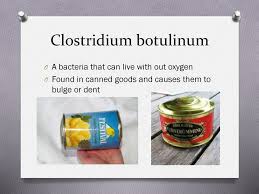 I ordered a 12 pack of whole earth farms chicken and turkey recipe canned food from amazon. Vocabulary Words For Food Safety Ppt Download