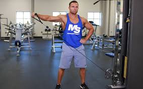 Cable Lateral Raises