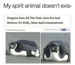 17 Spirit Animal Memes Tweets For All You Self Deprecating Clowns Really Funny Memes Funny Memes Funny Relatable Memes