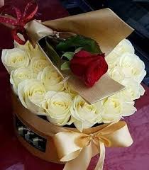 Las fotos del emotivo festejo de las leonas en su 3ra final olímpica, durante los juegos de tokio 2020. ØµØ¨Ø§Ø­ÙƒÙ… ÙˆØ±Ø¯ ÙˆÙÙ„ Ø§Ù„ØµØ¯Ø§Ù‚Ù‡ Ø§Ù„Ø­Ù‚ÙŠÙ‚ÙŠÙ‡ ÙˆØ§Ù„Ù…Ø­Ø¨Ù‡ ÙÙŠ Ø§Ù„Ù„Ù‡ Facebook