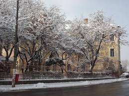 Check spelling or type a new query. A Venit Asa De Odata Iarna Cea Mult Asteptata Mapio Net