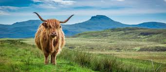Scotland info is your practical travel guide to scotland covering the scottish highlands, islands and mainland. Radreisen Schottland Segeln Rad Innere Hebriden Highlands