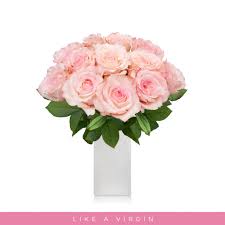 Light pink colour flowers images. Garden Roses Light Pink Like A Virgin Wholesale Roses Ebloomsdirect Eblooms Farm Direct Inc