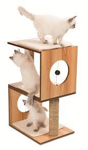 Cats Are Demanding Creatures And So Are Cat Lovers