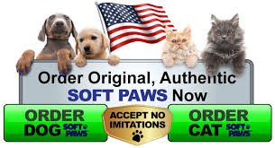 questions answers soft paws for dogs