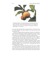 Image result for Vangueriopsis lanciflora