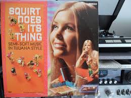 Squirt toy cleaning tips and maintenance advice