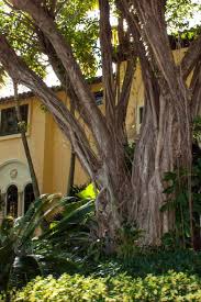 1,240 miles or 1996 km. Living In Boca Raton Florida