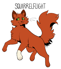 It's just cats — Squirrelflight