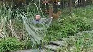 Weighted blankets are one of the hardest items to find sales on. Quantum Invisibility Cloak Amazes Millions On Chinese Internet Metro News