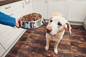Treats from two dog food brands are being voluntarily recalled after the discovery of salmonella or listeria, according to the fda. This Dog Food Has Been Urgently Recalled Over Salmonella Risk Dunfermline Press