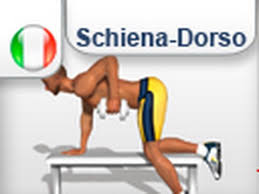 Di fronte al tavolo o ad un mobile di casa di media altezza ci appoggiamo le mani leggermente più in alto delle anche. Ginnastica Per Allenare Muscoli Schiena Dorsali Youtube