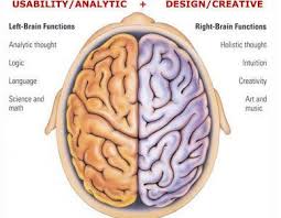 I Didn T Know Until Very Recently That I Have Aspergers Why Well Please Ask My Doctors That Because I Right Brain Whole Brain Teaching Left Vs Right Brain