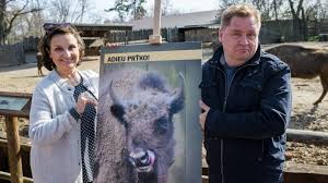 Jeho otcem je uznávaný textař pavel kopta a ženou herečka divadla pod palmovkou simona vrbická. Zoo Praha Se Podili Na Navratu Zubru Na Kavkaz