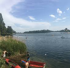 Die donau wird zu oft unterschätzt. Die Besten Badeplatze An Der Alten Donau Goodnight