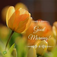 July 5, 2021 by sumit thakur leave a comment. Good Morning Yellow Flower With Ornamental Calligraphy