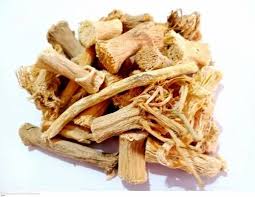 Image result for Cucumis prophetarum