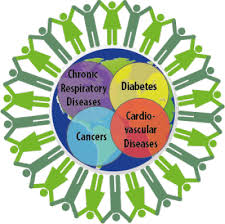 Image result for non communicable disease.com
