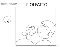 Udito E Olfatto Schede Da Colorare Attivita Del Corpo Umano Immagini Di Scuola Senso